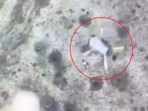 Военные РФ применяют уникальную технологию перехвата дронов ВСУ (ВИДЕО) Военные РФ применяют уникальную технологию перехвата дронов ВСУ (ВИДЕО)