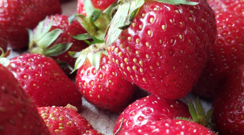 Гастроэнтеролог Сухорукова: Употребление клубники повышает либидо Гастроэнтеролог Сухорукова: Употребление клубники повышает либидо