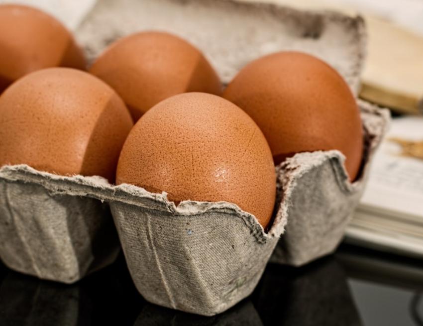 Нутрициолог Ильичева предупредила об опасности высокобелковой диеты Нутрициолог Ильичева предупредила об опасности высокобелковой диеты