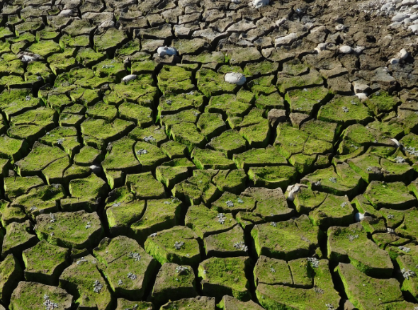 Американские ученые спрогнозировали жару в Европе из-за новых технологий США Американские ученые спрогнозировали жару в Европе из-за новых технологий США