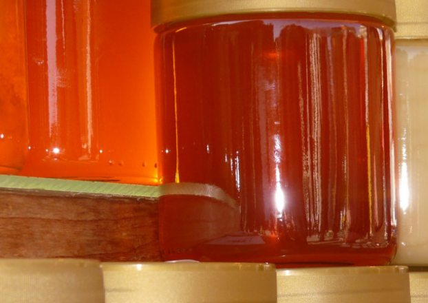 Эпидемиолог Осадчая назвала 5 групп продуктов, которые вызывают ботулизм