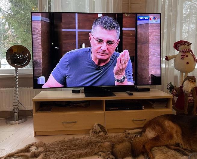 Врачи Мясников и Ерин рассказали об опасности проблем с глотанием Врачи Мясников и Ерин рассказали об опасности проблем с глотанием