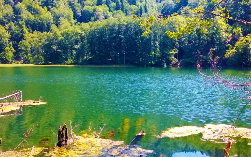 «МК»: Стало известно, чем отпускники с детьми заменили Крым, Дагестан и Абхазию «МК»: Стало известно, чем отпускники с детьми заменили Крым, Дагестан и Абхазию