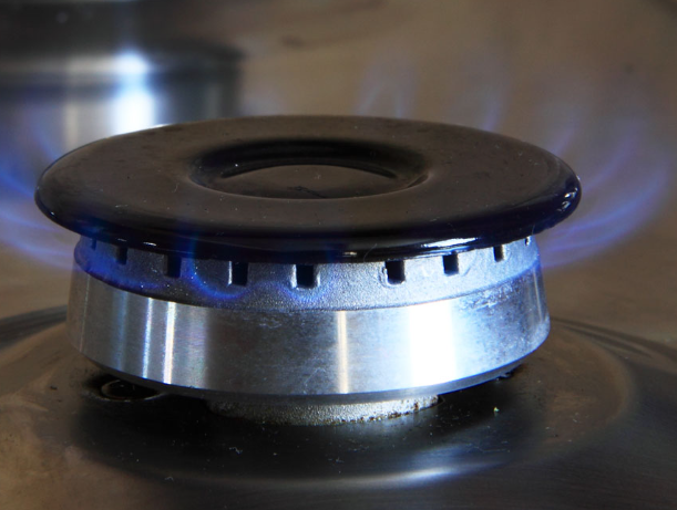 Депутат Болотников призвал прекратить поставку газа Японии в ответ на санкции