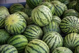 Гастроэнтеролог Почеховская рассказала, почему фрукты важно мыть даже в кожуре