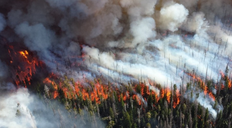 В Турции эвакуировали два отеля недалеко от города Измир из-за лесных пожаров