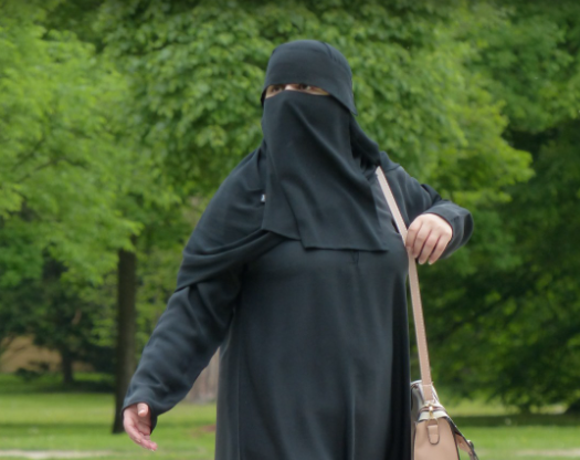 Магистр исламских наук Манар Умм аль-Гьуда поддержала запрет никаба в Дагестане Магистр исламских наук Манар Умм аль-Гьуда поддержала запрет никаба в Дагестане