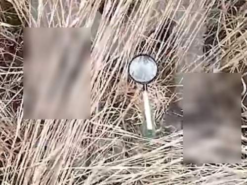 «Завербованы Украиной»: в полях на Кубани находят десятки луп, вызывающие пожары (ФОТО)