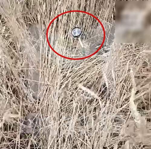 «Завербованы Украиной»: в полях на Кубани находят десятки луп, вызывающие пожары (ФОТО)