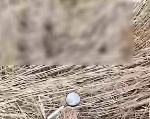 «Завербованы Украиной»: в полях на Кубани находят десятки луп, вызывающие пожары (ФОТО)