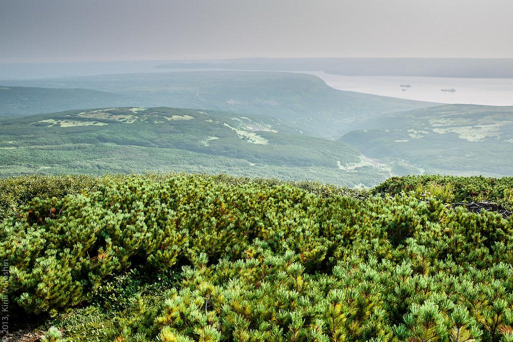 Россиянка после посещения Курил была поражена ценами на продукты Россиянка после посещения Курил была поражена ценами на продукты