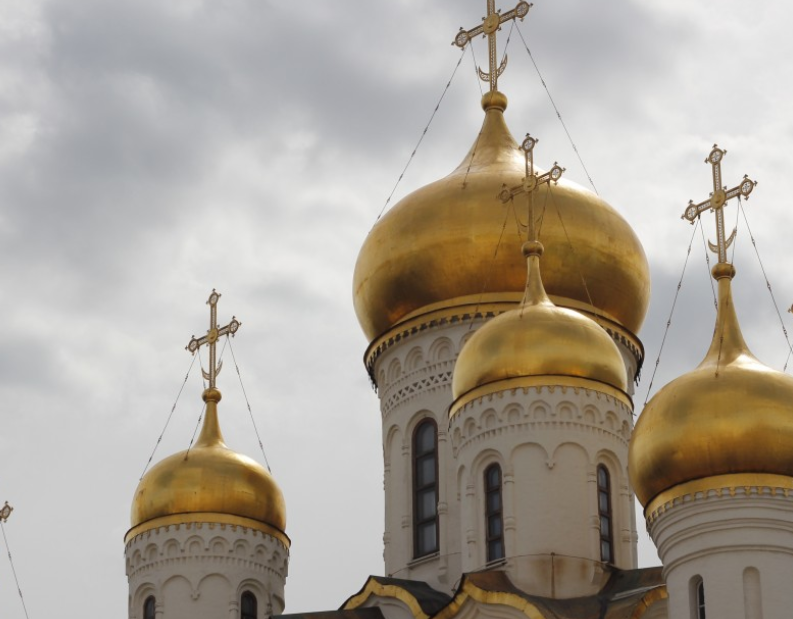 В России 16 июля будет отмечаться Маковый день В России 16 июля будет отмечаться Маковый день