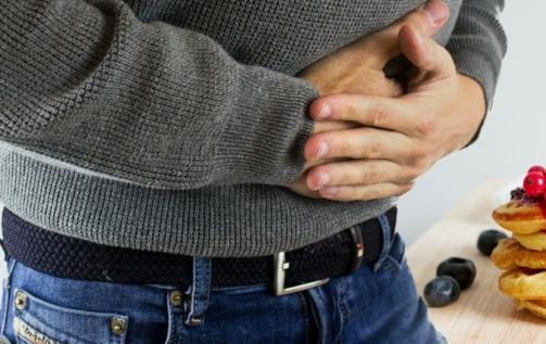 Врачи бьют тревогу из-за набирающей популярность «львиной» диеты Врачи бьют тревогу из-за набирающей популярность «львиной» диеты