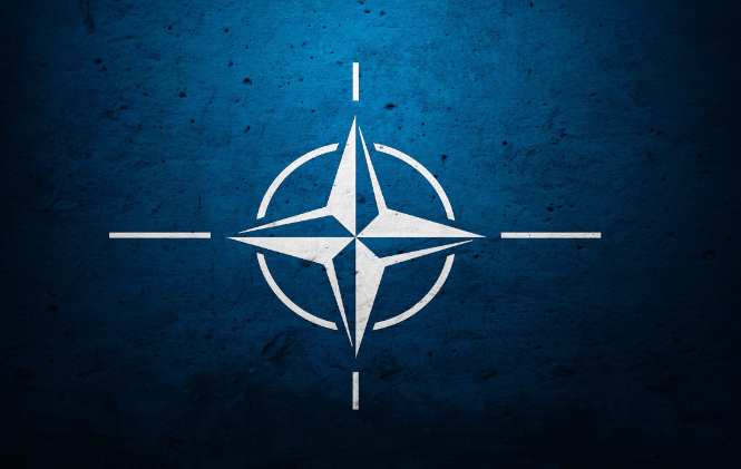 Райт: В НАТО допустили ошибку, приняв Финляндию и Швецию Райт: В НАТО допустили ошибку, приняв Финляндию и Швецию