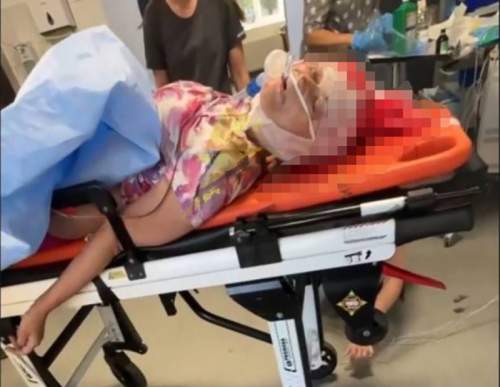 Названы основные версии убийства главной русофобки Украины Фарион (ФОТО)