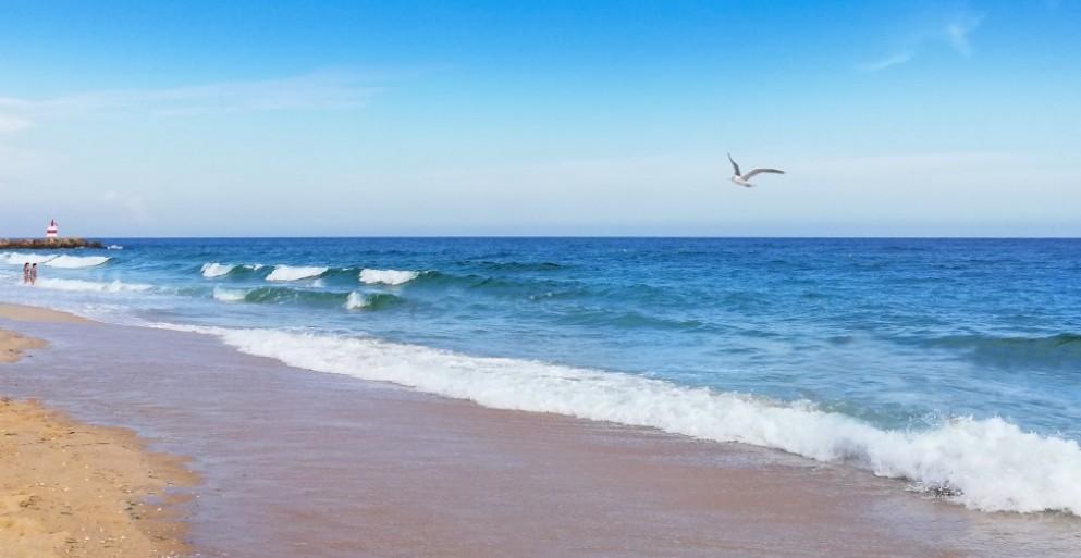 Туристы назвали плюсы и минусы отдыха на Азовском море