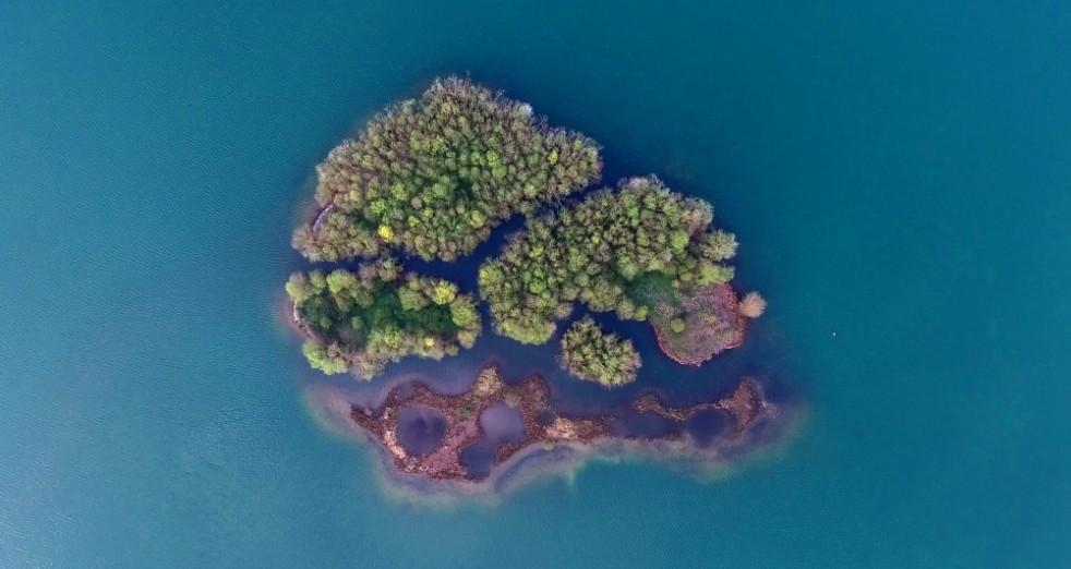 Пара поехала в медовый месяц мечты и застряла на острове Бора-Бора