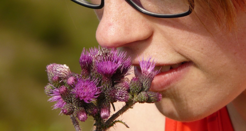 Nature: Ученые назвали потерю обоняния вероятным симптомом болезни Альцгеймера