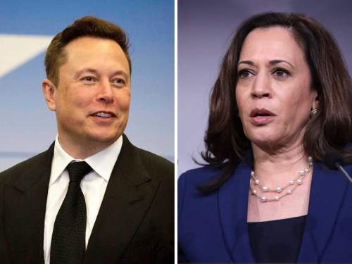 Маск обвинил Камалу Харрис в желании уничтожить человечество