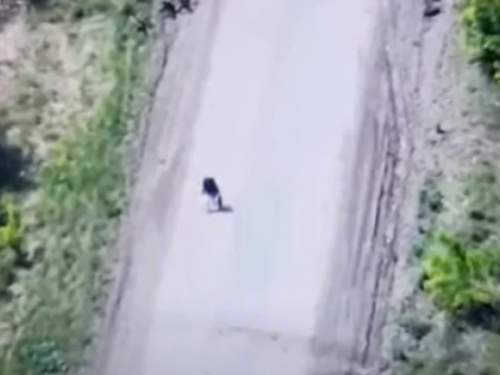 &laquo;Уверенно, с вещами&raquo;: ВС РФ и ВСУ прекратили бой, чтобы пропустить идущую с Украины в Россию женщину (ВИДЕО)