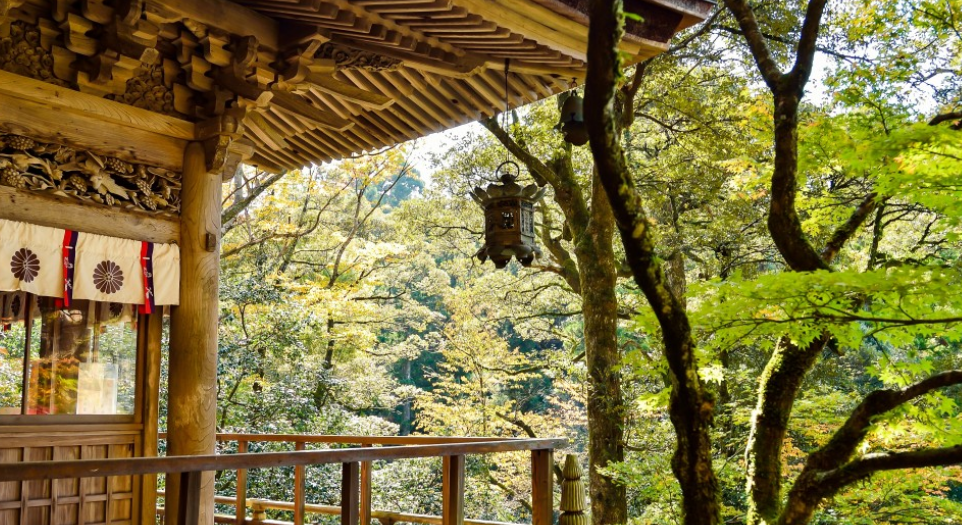 АТОР: Цены на тур в Японию осенью стартуют от 118 тысяч рублей с человека