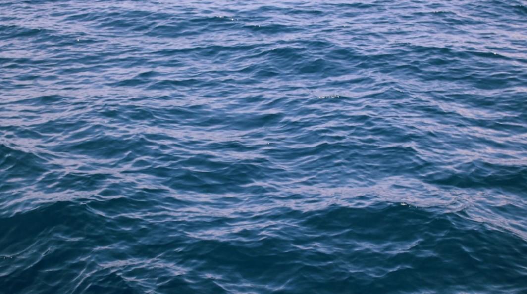 В Италии рыбаки пожаловались на огненных бородатых червей