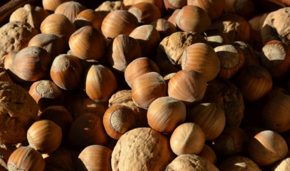 Врач Еделев: Орехи помогают восполнить дефицит магния