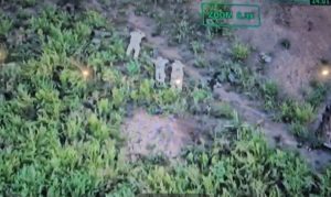 СМИ: ВСУ захватили в плен трех бойцов ВС РФ в Курской области (ФОТО)