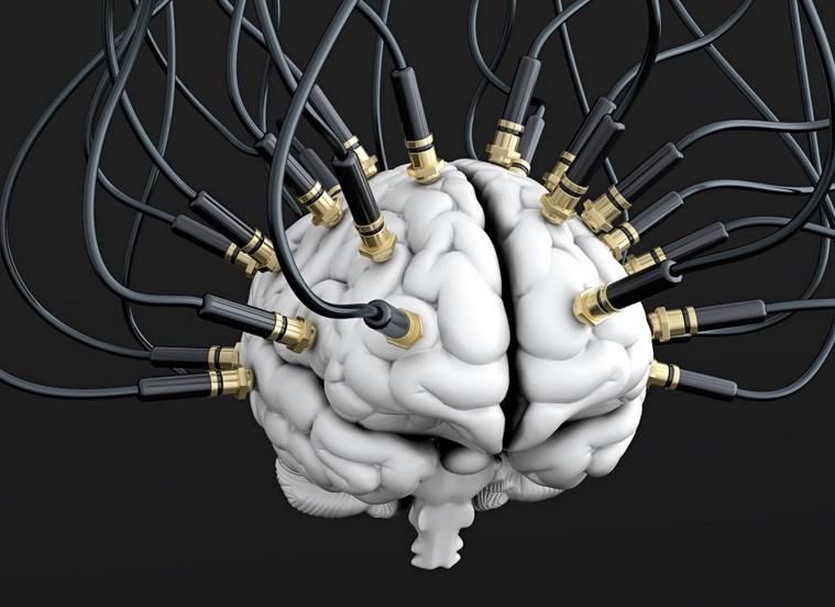 Эксперт Осадчий объяснил желание Илона Маска вживлять чипы в мозг человека Эксперт Осадчий объяснил желание Илона Маска вживлять чипы в мозг человека