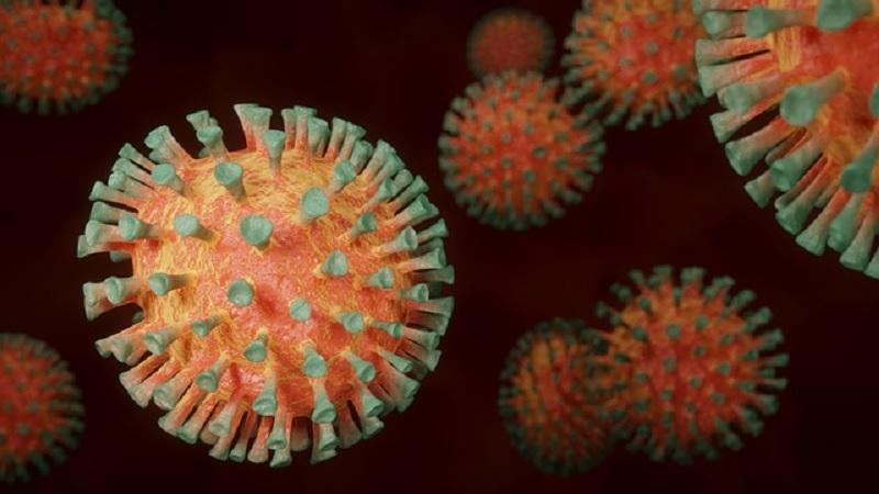ArsTechnica: Рост случаев "5-й болезни" заставляет специалистов быть начеку