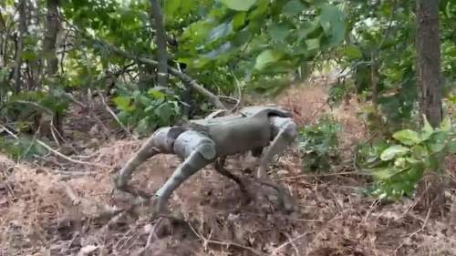 Bild: ВСУ используют дорогих робо-собак для разведки в Донбассе (ФОТО, ВИДЕО)