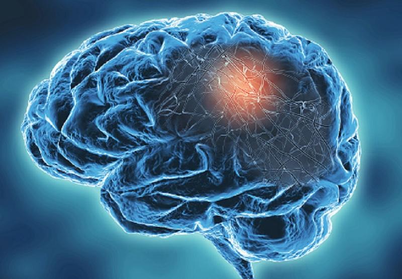 Ученые из Японии: Морские водоросли могут предотвратить болезнь Паркинсона Ученые из Японии: Морские водоросли могут предотвратить болезнь Паркинсона