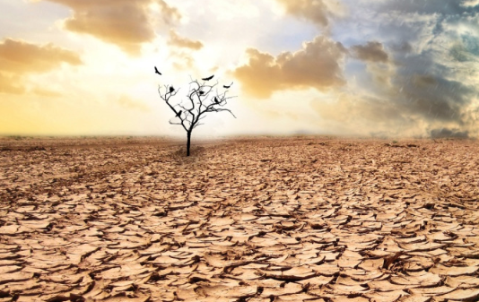 Глобальные изменения климата превратят Ближний восток в безжизненную пустыню Глобальные изменения климата превратят Ближний восток в безжизненную пустыню