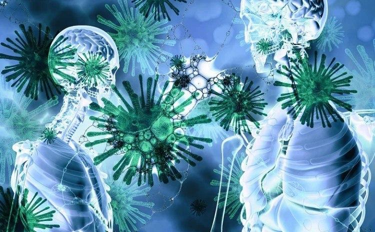 HealthDay: Ученые заявили, что кишечные бактерии могут влиять на появление запора HealthDay: Ученые заявили, что кишечные бактерии могут влиять на появление запора