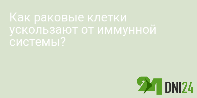 Как раковые клетки ускользают от иммунной системы?