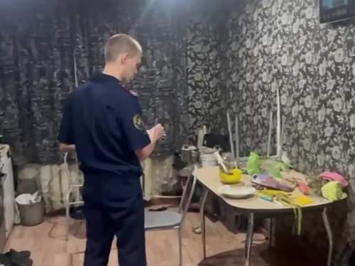 В Красноярском крае трое детей умерли после семейного ужина с пельменями (ВИДЕО) В Красноярском крае трое детей умерли после семейного ужина с пельменями (ВИДЕО)