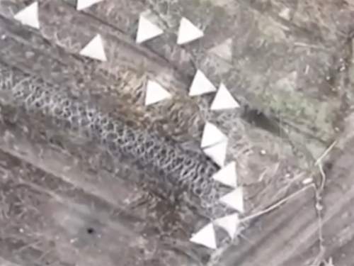 Опубликовано видео минного шлагбаума ВС РФ под Курском (ВИДЕО) Опубликовано видео минного шлагбаума ВС РФ под Курском (ВИДЕО)
