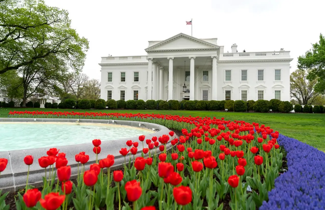 Первые результаты выборов в США: фаворит уже определился