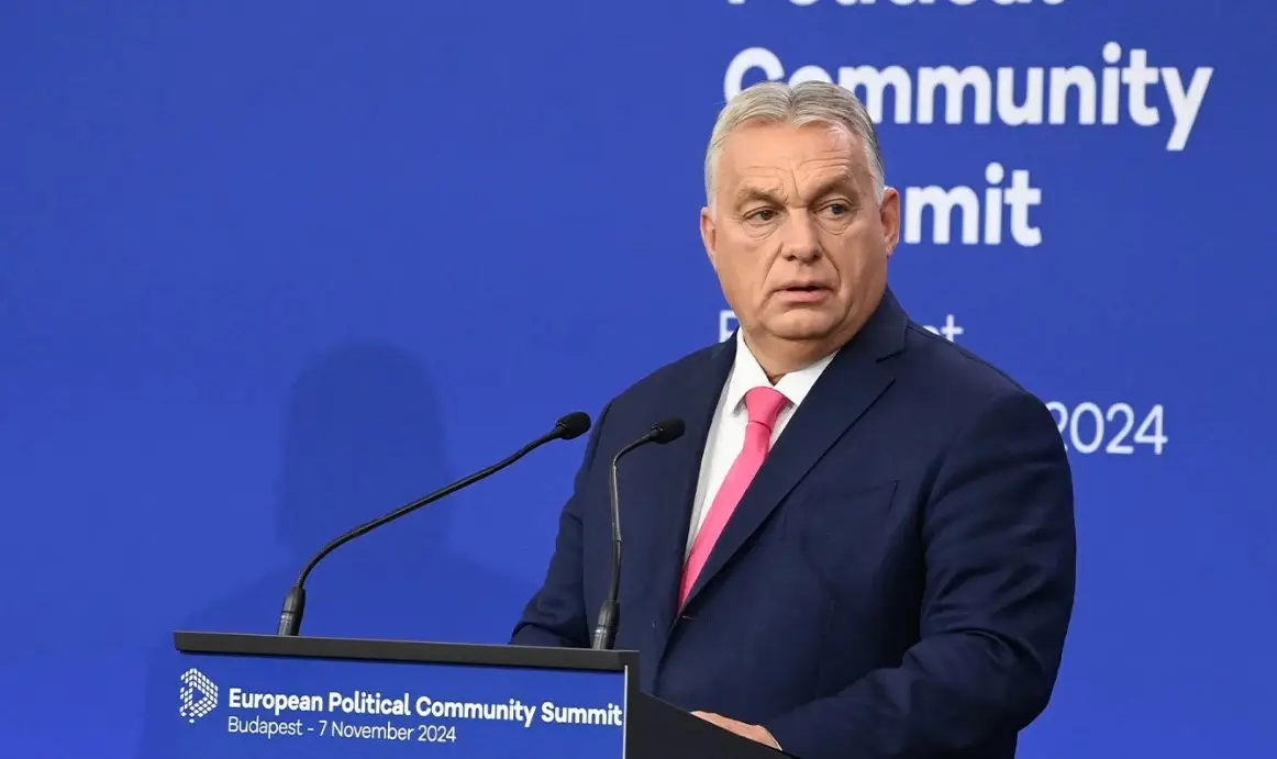 США скоро выйдут из конфликта на Украине – Орбан США скоро выйдут из конфликта на Украине – Орбан