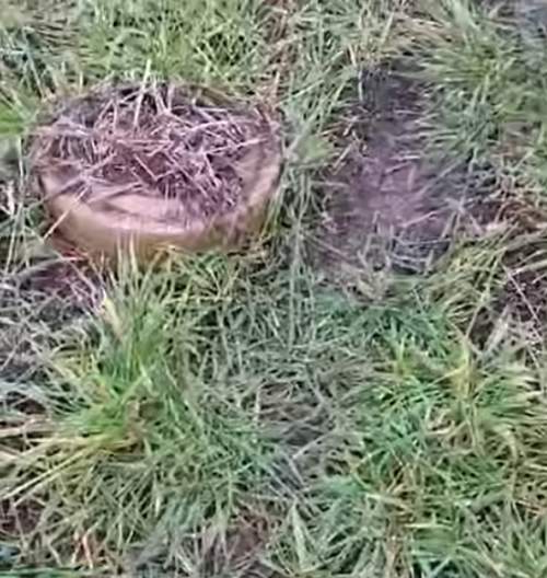 Танк ВСУ расстрелял мирных жителей в ДНР, попав на видео БПЛА (ФОТО, ВИДЕО)