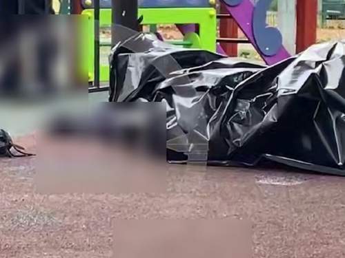 В убийстве москвички, найденной без обуви на детской площадке, заподозрили ее дочь (ФОТО, ВИДЕО)