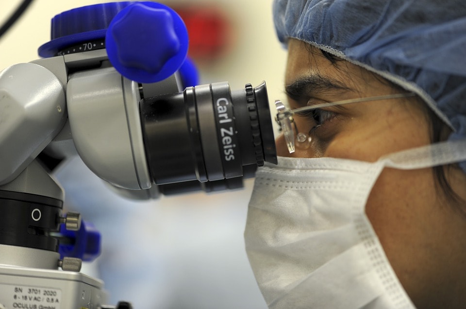 Aging Cell: вещество холин может помочь предотвратить болезнь Альцгеймера Aging Cell: вещество холин может помочь предотвратить болезнь Альцгеймера