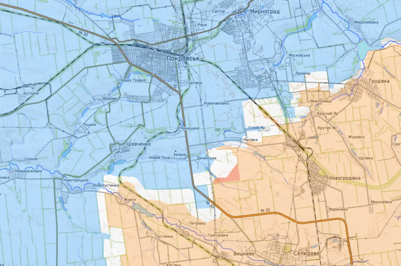Российские войска выбили противника с южных окраин Покровска Российские войска выбили противника с южных окраин Покровска