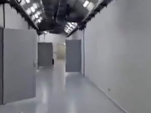 &laquo;Золотой Коран и много золота&raquo;: видео из бункера семьи Асада слили в Сеть (ВИДЕО)