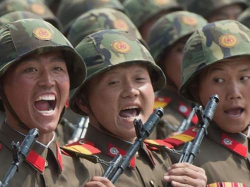 Выжгли ВСУ &laquo;Солнцепеком&raquo;: стали известны детали первого боя спецназа КНДР