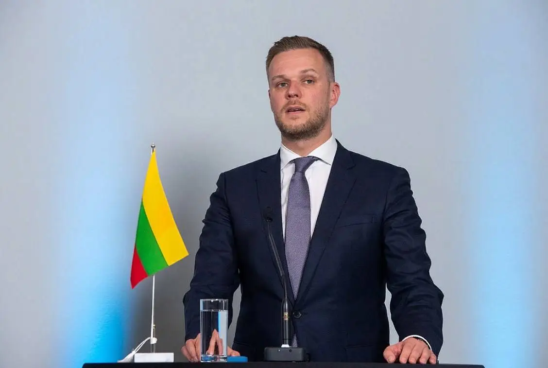 Экс-глава МИД Литвы заявил о возможном нападении «разваливающейся» России