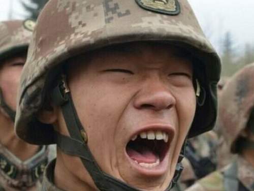 Фото «первого корейского военного» в плену у ВСУ появилось в Сети (ФОТО) Фото «первого корейского военного» в плену у ВСУ появилось в Сети (ФОТО)