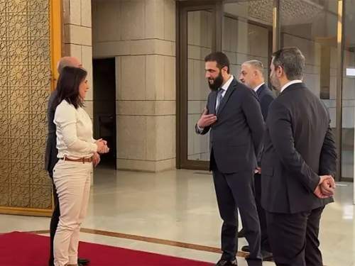 Новые лидеры Сирии отказались пожать руку главе МИД ФРГ Бербок (ВИДЕО)