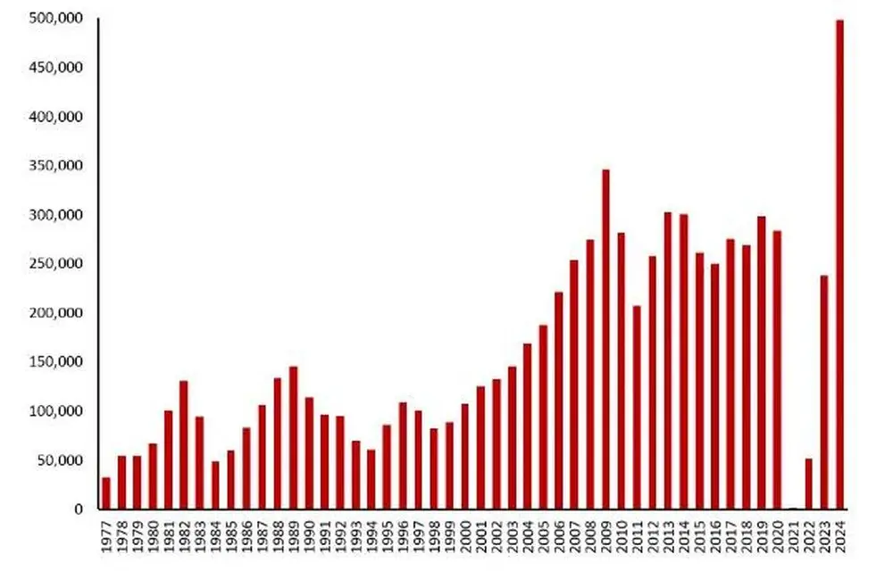 Англоговорящие страны накрыло «миграционное цунами»