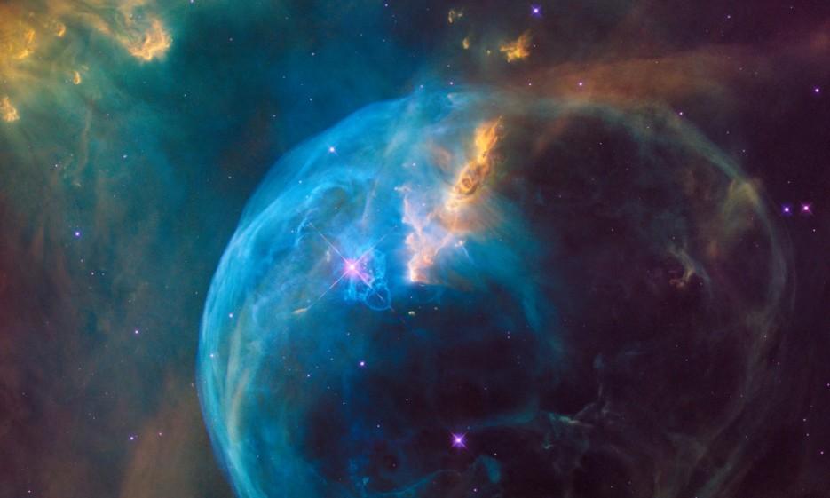 Палеонтолог Либерман: возникновение видов с высоким уровнем интеллекта является редким событием